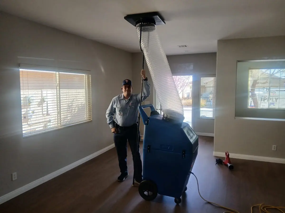 Professional Dryer Vent Cleaning work inside a Highland Springs home
